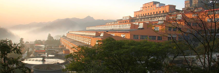 河池市華錫集團